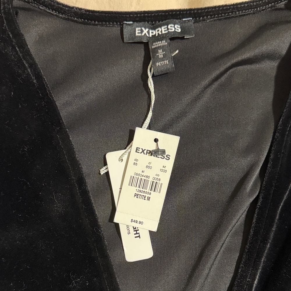 Express Black Velvet top